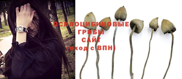 ГАЛЛЮЦИНОГЕННЫЕ ГРИБЫ Карпинск