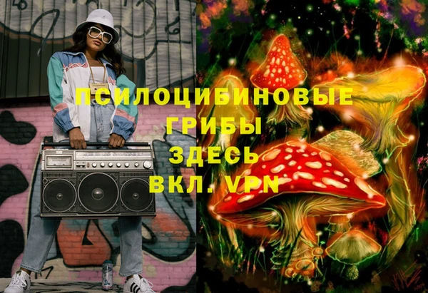 ГАЛЛЮЦИНОГЕННЫЕ ГРИБЫ Карпинск