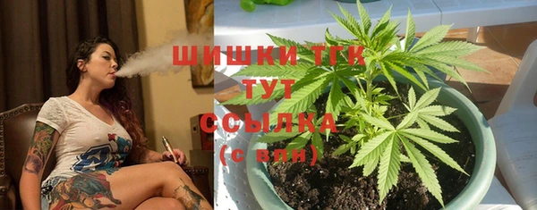 ГАЛЛЮЦИНОГЕННЫЕ ГРИБЫ Карпинск