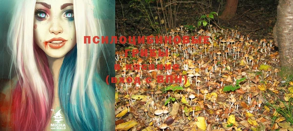 соль ск Кинешма