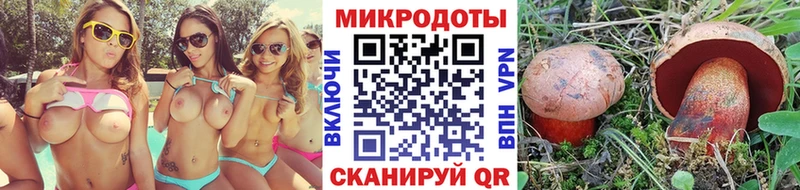 Псилоцибиновые грибы ЛСД  Купить  Новосиль 